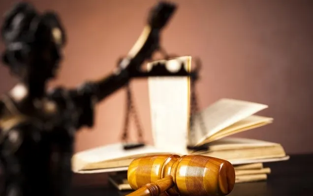 APADOR-CH cere guvernului să nu dea OUG pe codurile penale fără dezbatere
