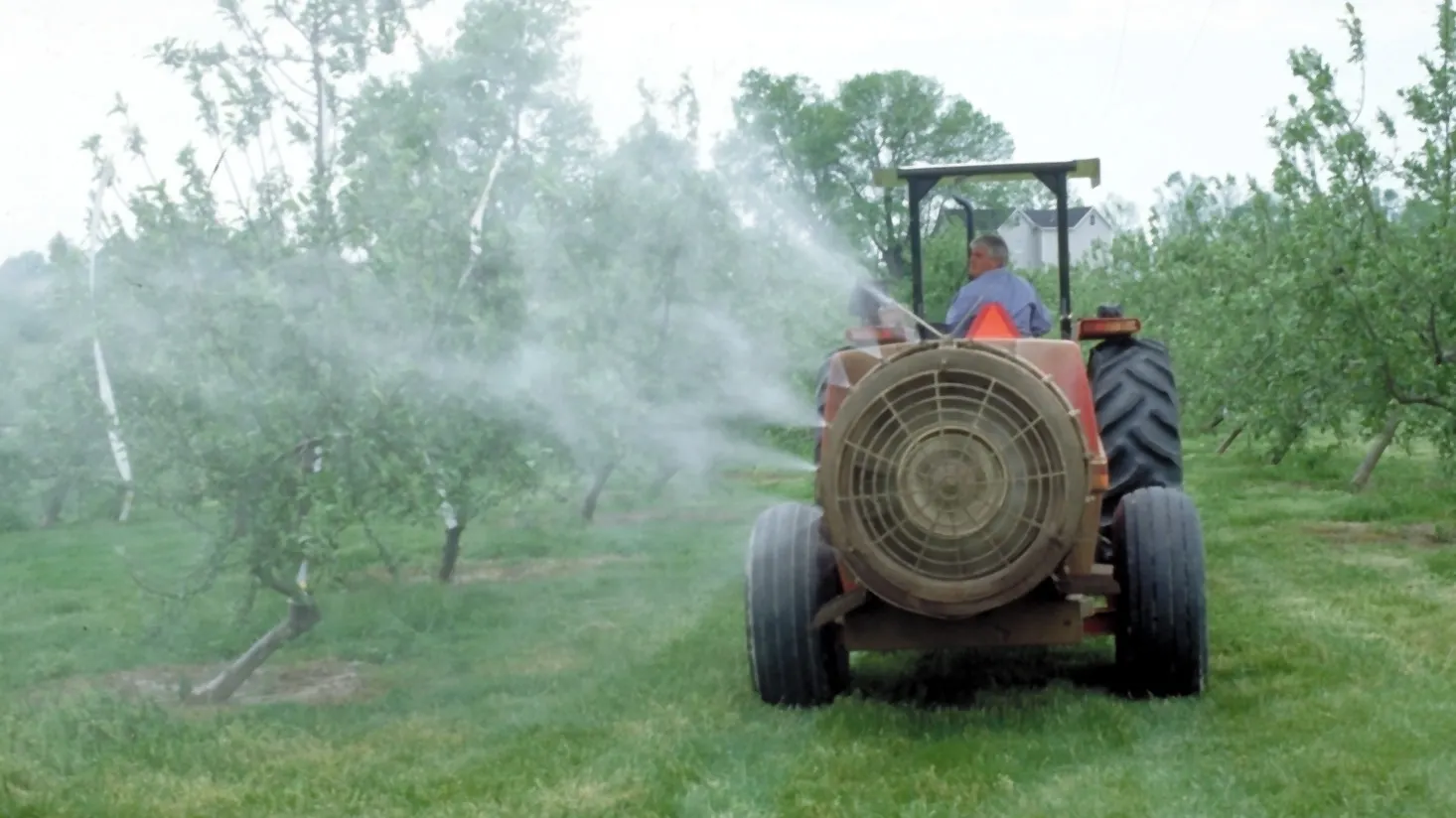 Haos în UE: mai multe țări refuză reducerea de PESTICIDELOR