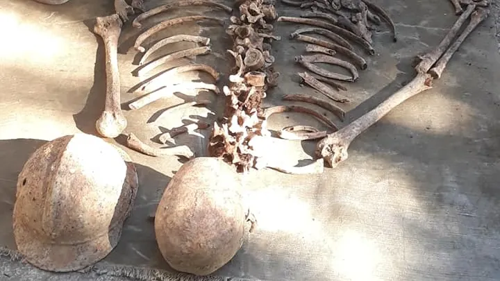 Descoperire macabră într-o pădure din Vrancea. Cui aparţine scheletul găsit