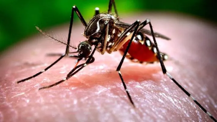 ALERTĂ MAXIMĂ: Apare virusul West Nile în urma inundațiilor din Herson
