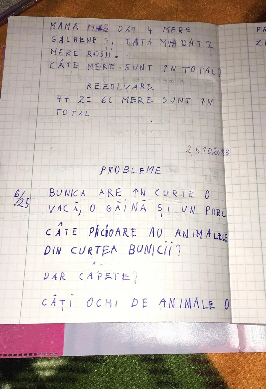 Câte picioare au animalele din curtea bunicii? Cum arată o problemă de matematică la clasa I 