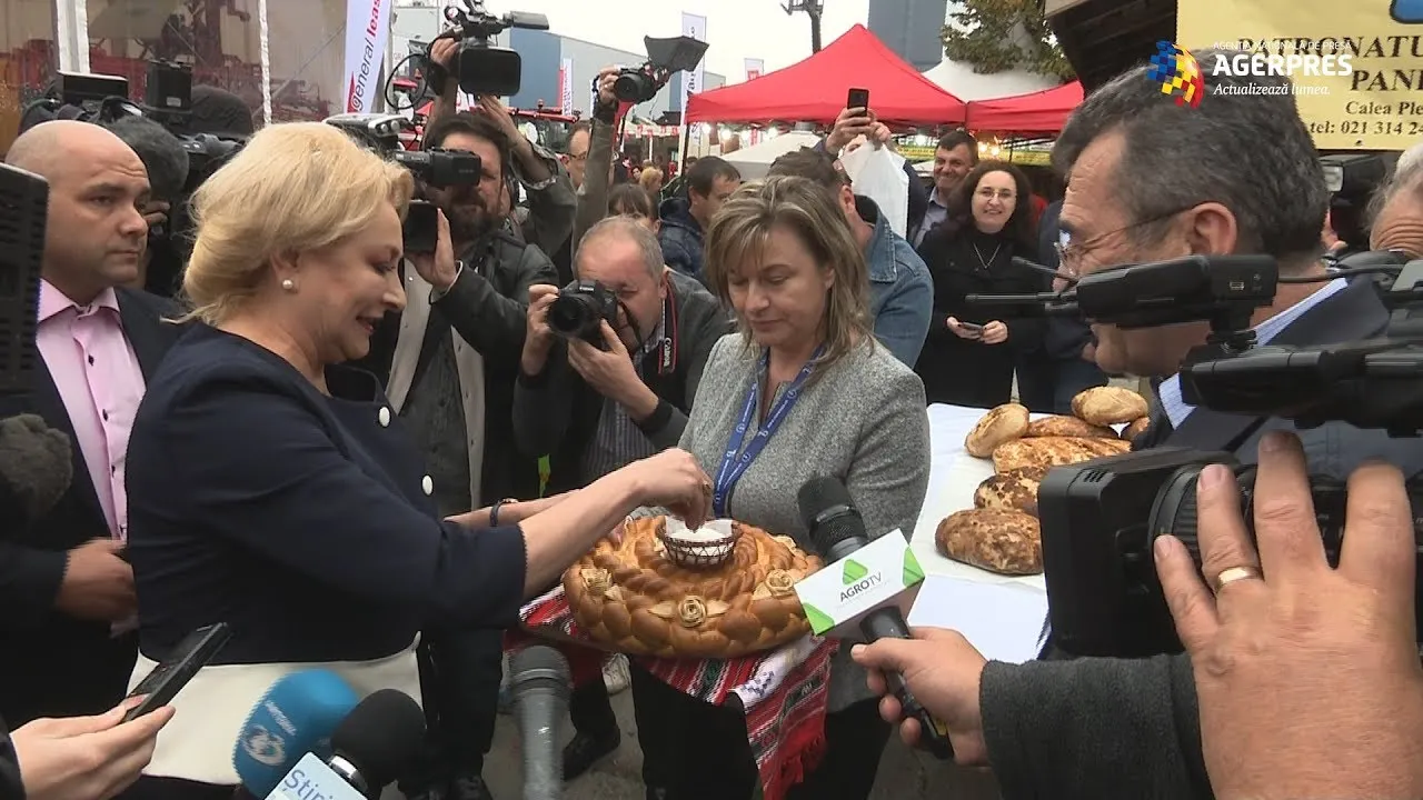 Dăncilă caută "tinctura care să unească societatea"