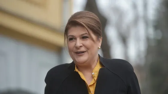 Rovana Plumb: Suntem pregătiţi să ducem Preşedinţia Consiliului UE până la capăt