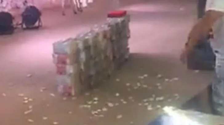 Ce au văzut părinții miresei în mijlocul petrecerii. Cadoul mirelui i-a lăsat pe toți fără vorbe