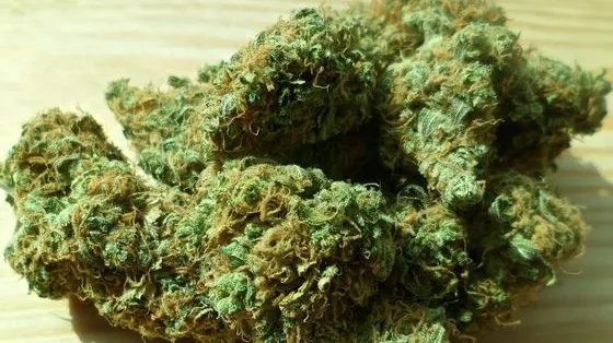 Ziua punea cafea în automate, noaptea "făcea plinul" cu cannabis 