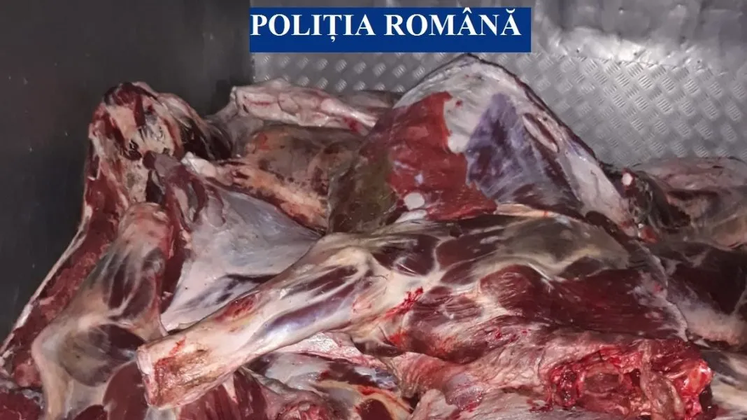A vrut să dea un tun cu o tonă de carne de vacă, dar nu i-a mers