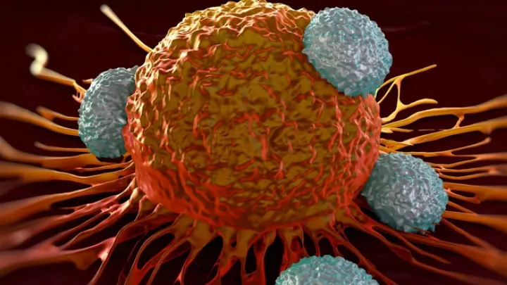 Medicii trag un semnal de alarmă: Lipsa acestei vitamine duce la apariţia cancerului!