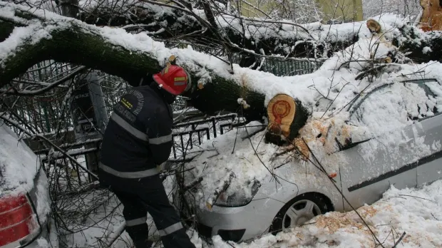Dezastrul lăsat în urma zăpezii. Mii de oameni în beznă, copaci doborâți 