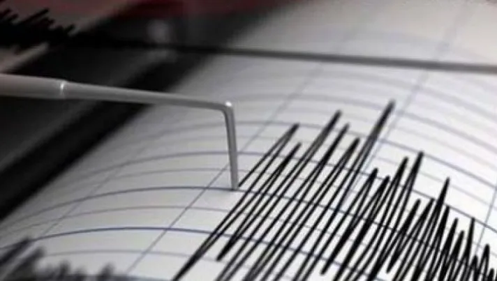 Cutremur de 3,8 grade, duminică seara, în România