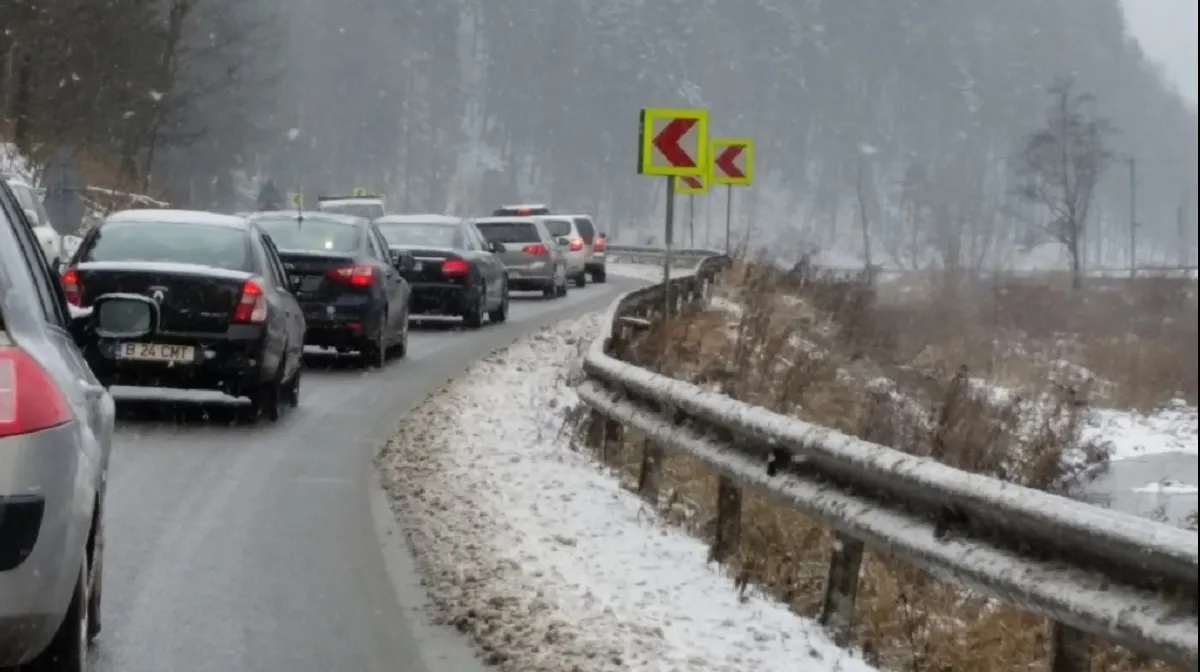 Un brad a provocat BLOCAJ pe DN1. Au avut loc tamponări