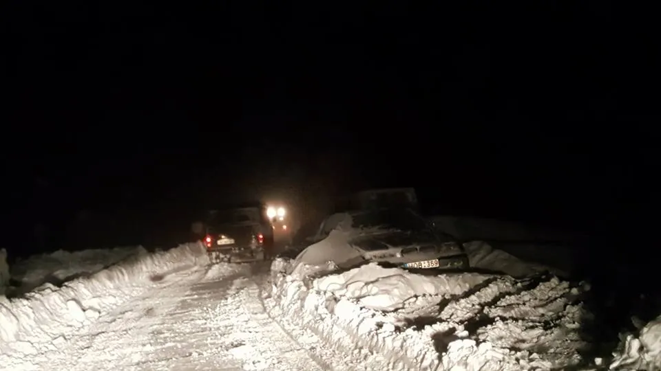 Cod portocaliu de viscol în zona de munte din Banat