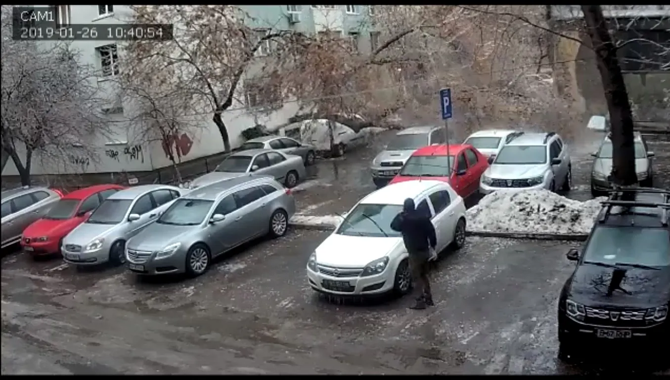 Efectul "ploaia înghețată", surprins pe cameră. Iată momentul în care un copac se prăbușește!