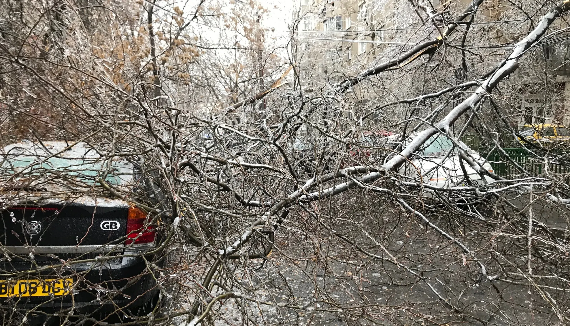 Bărbat rănit, după ce un copac a căzut peste el, în zona Crângași din București