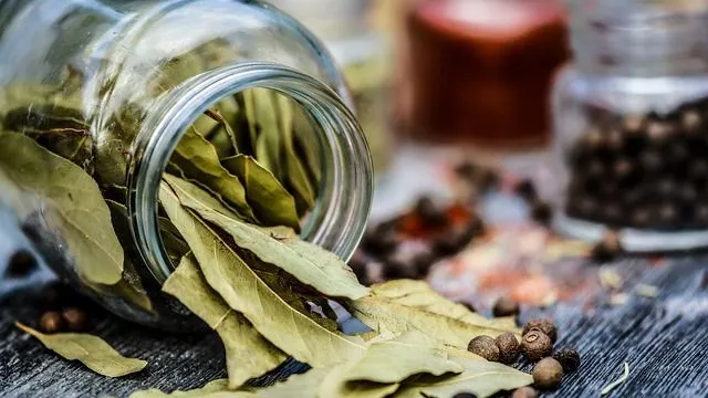 Frunzele de dafin, beneficii pe care nu le ştiai