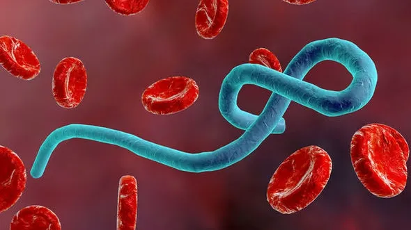Alertă! Posibilitatea ca Ebola să fi ajuns în Europa, extrem de mare 