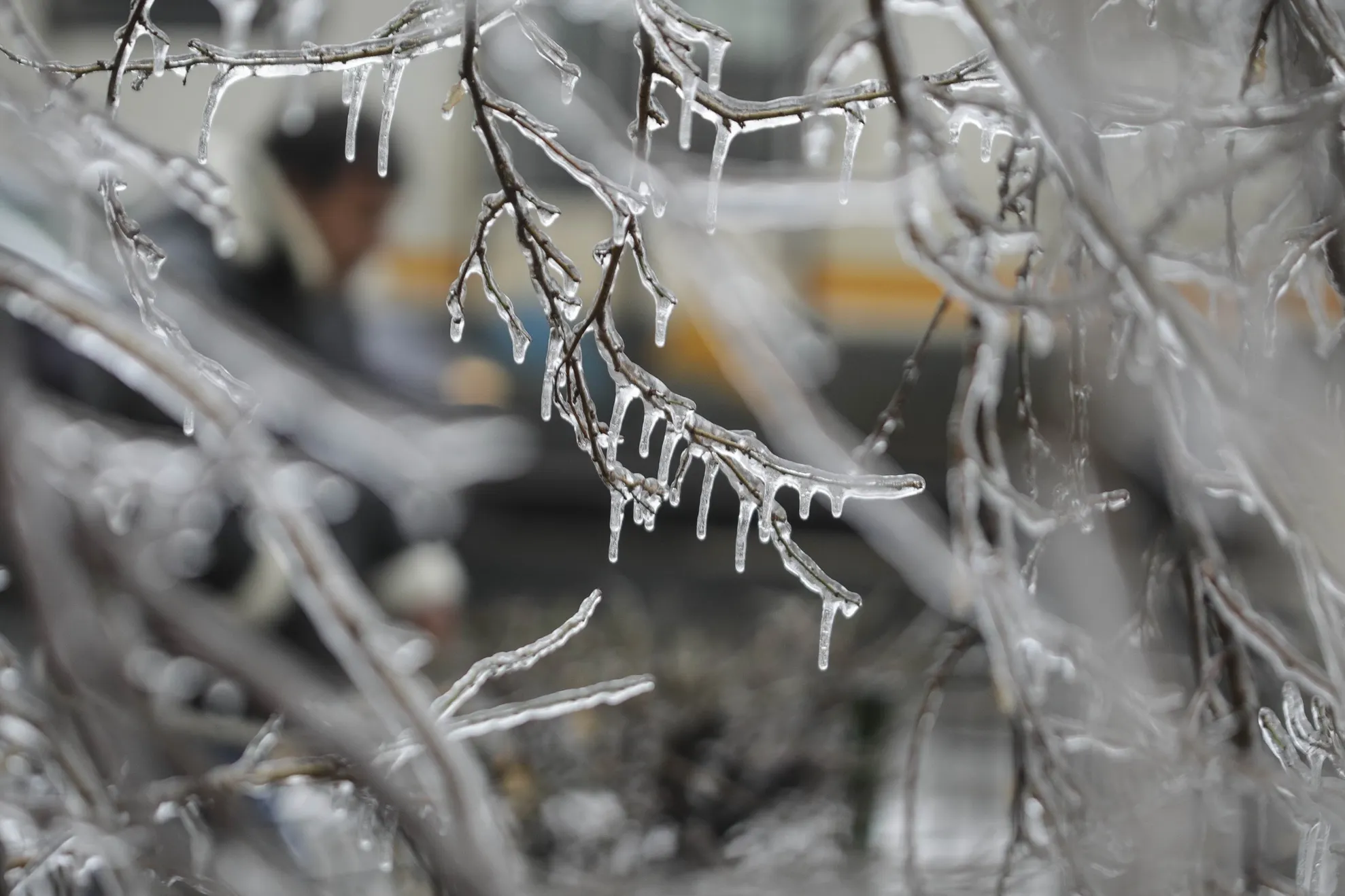 DEZASTRUL de după. Fenomenul freezing rain paralizează România