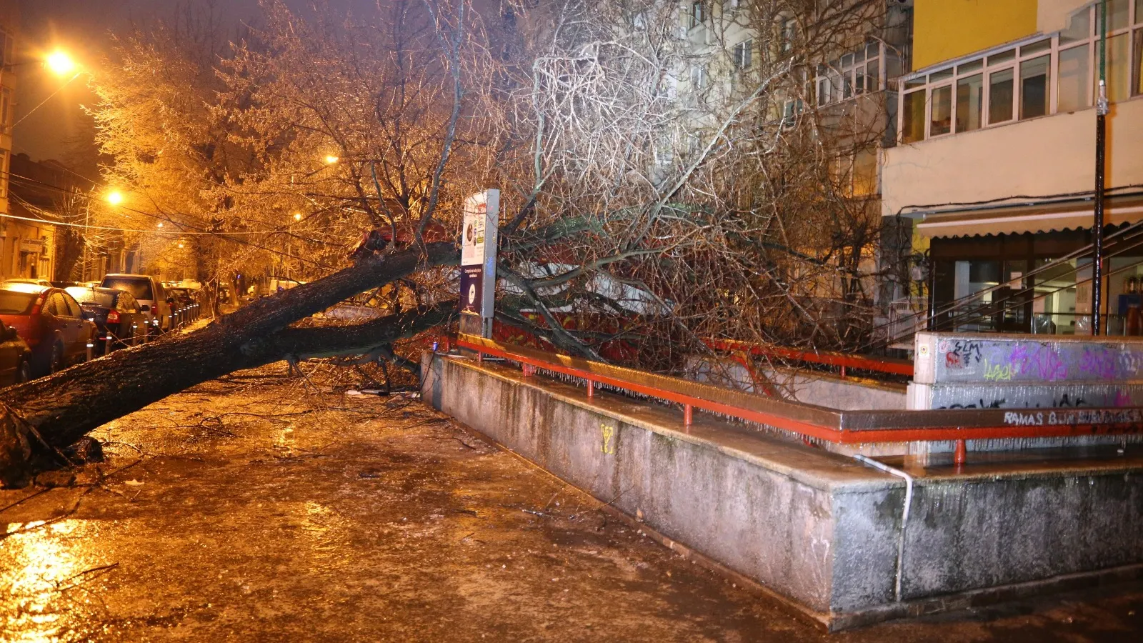 Coșmar după ploaia de gheață din Capitală și Ilfov. ISU: 115 intervenţii în 10 ore