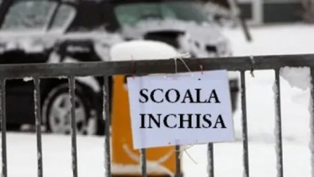 Se închid sau nu şcolile din cauza gripei?