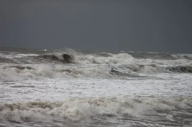 Mare