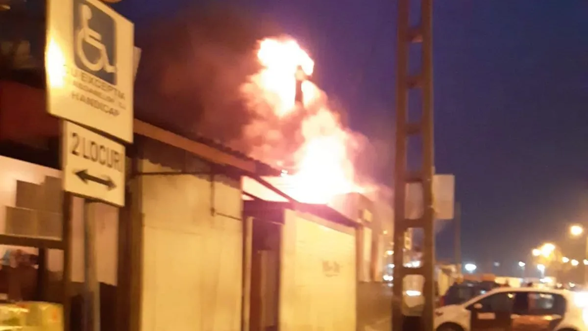Incendiu la un renumit producător de mezeluri din Timișoara - FOTO