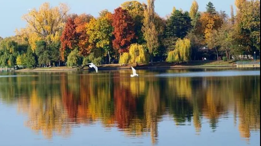 Descoperire șocantă în lacul Herăstrău. Un consilier parlamentar, găsit mort
