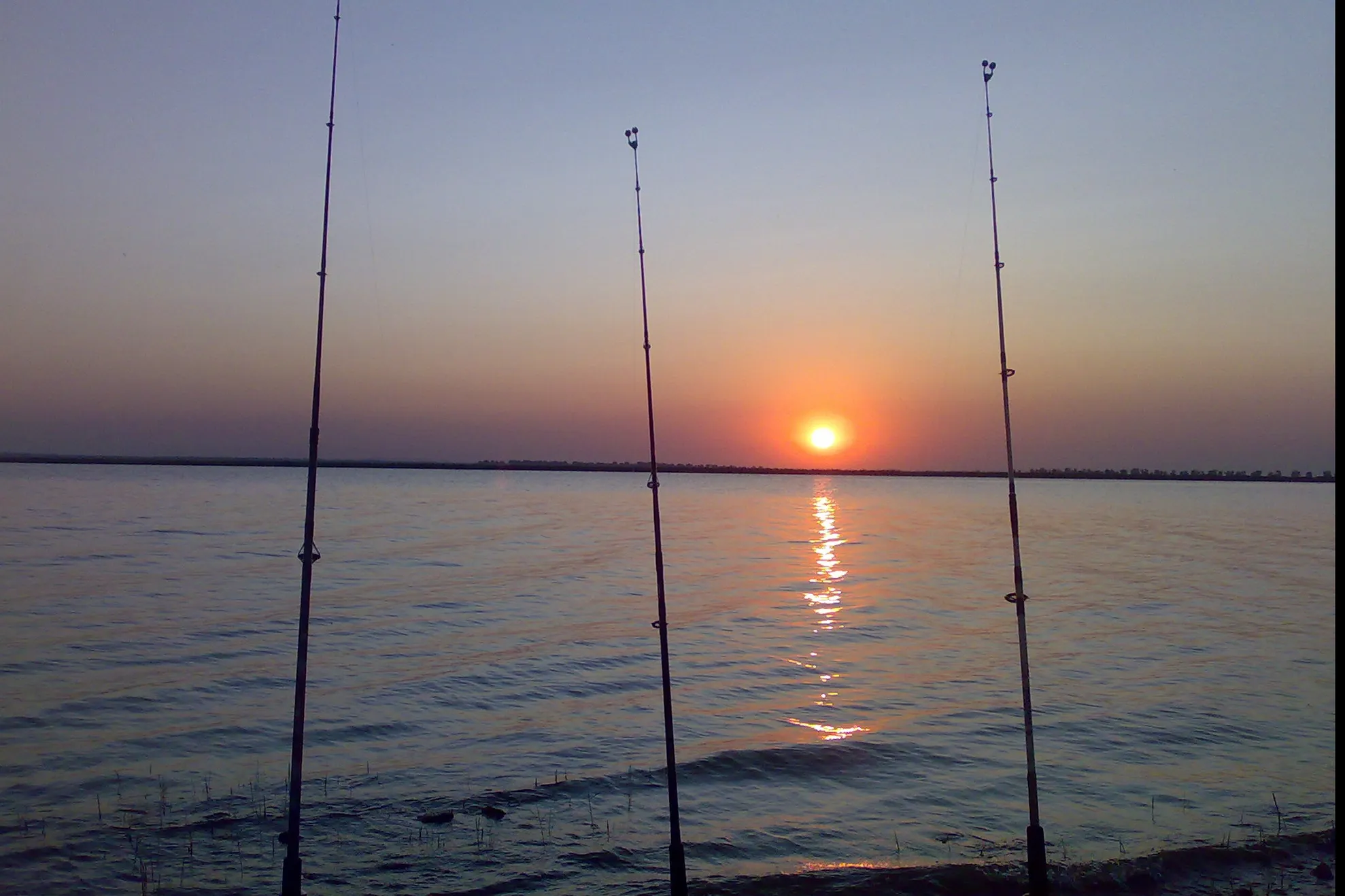 Atenție pescari! S-au stabilit perioadele şi zonele de prohibiţie  pentru 2019