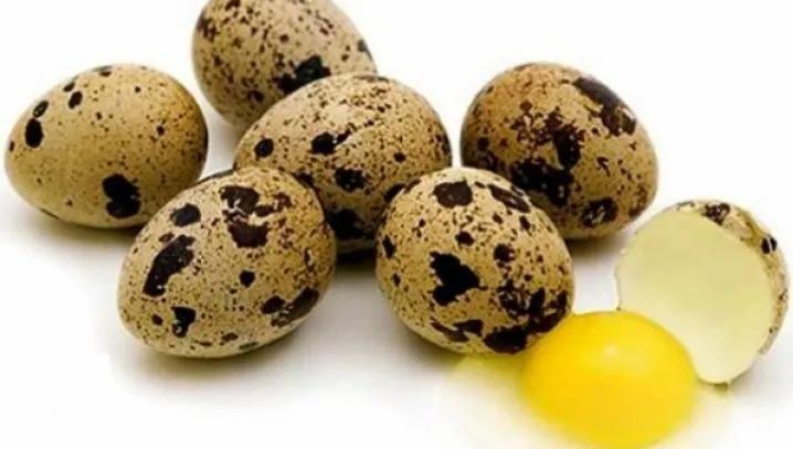 10 beneficii ale oului de prepeliţă. Ce boli pot fi tratatea cu ajutorul acestui aliment