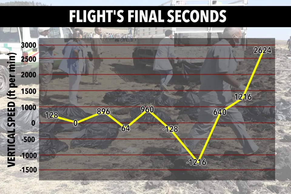 Avionul prăbușit în Etiopia. Un martor a povestit detalii șocante dinainte de prăbușire