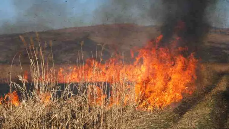 Zi de foc! Un alt incendiu de vegetație! Ard deja case