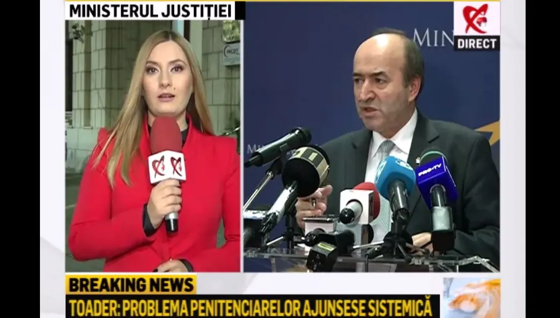 Tudorel Toader a "amenințat" jurnaliștii. Ionela Arcanu a explicat tot