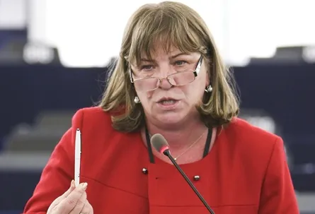 O nouă avertizare către PSD! Norica Nicolai a identificat o problemă de colaborare în coaliţie