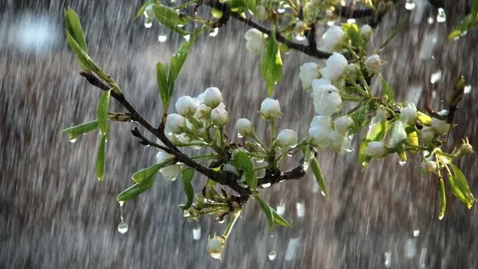 Prognoza meteo: Cum va fi vremea în următoarele zile? Regiunile în care va ploua