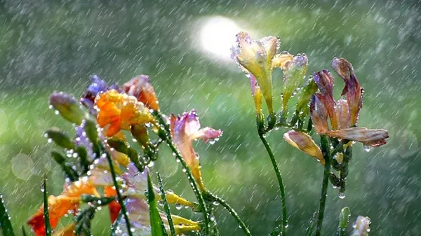 Vești proaste de la meteo! Prognoza meteo pentru următoarele două săptămâni