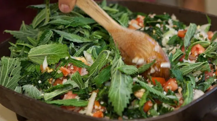 Salata-minune care elimină toxinele. Nu e chiar uşor de mâncat. Tu ai curaj?