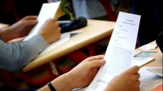 Simulare clasa a 7-a 2019 Română subiecte și barem - EDU.ro