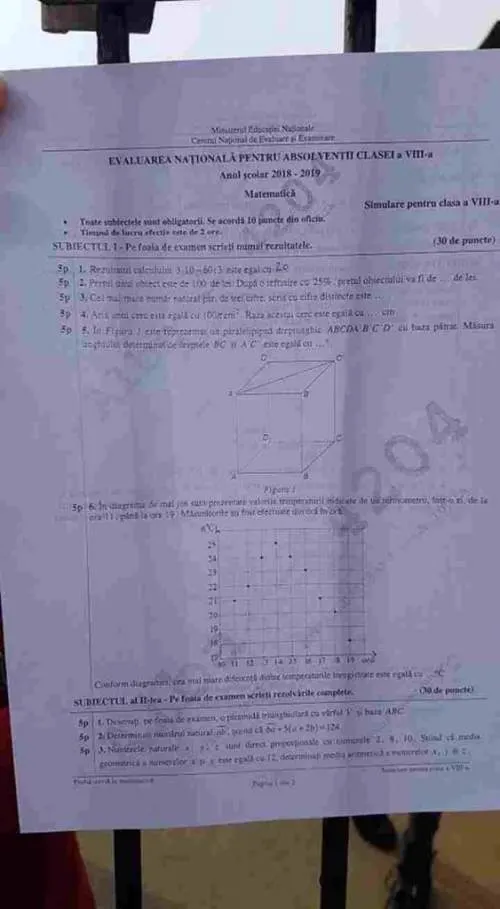 Subiecte simulare 2019 Matematică // Barem de corectare și punctaje