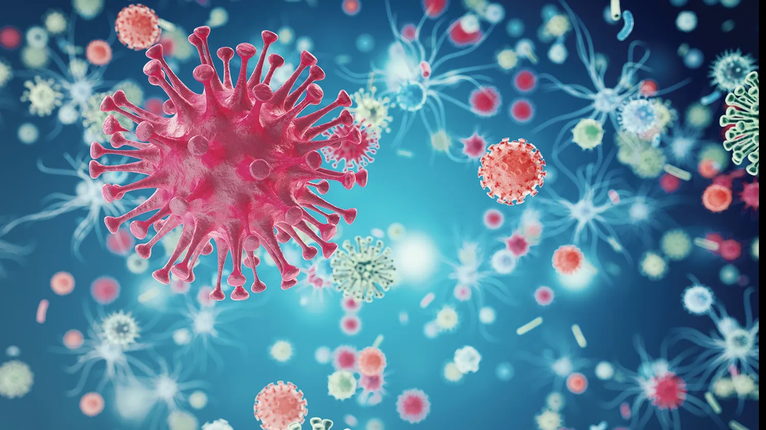 Animalul care poate detecta cancerul. Incredibil