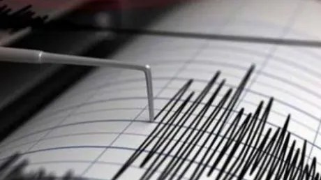 Cutremur de 3,8 grade în România, vineri dimineaţă