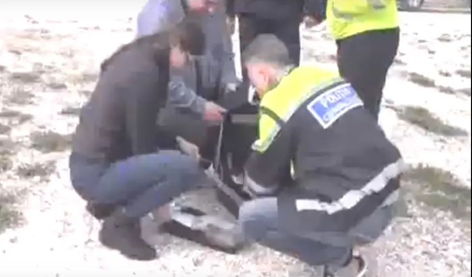 Cocaină pe Litoral, un nou bilanţ: 152 de kilograme recuperate din mare