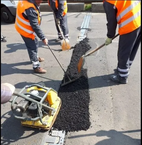 Gabriela Firea s-a făcut de râs, toată lumea a râs când a văzut pozele (GALERIE)