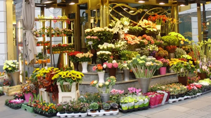 Această plantă este ucigaşă! Se vinde la toate florăriile din România, deşi e foarte toxică