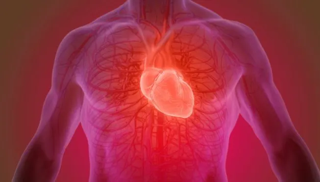 Sfaturi cruciale pentru cardiaci și nu numai: cum să ai inima sănătoasă?