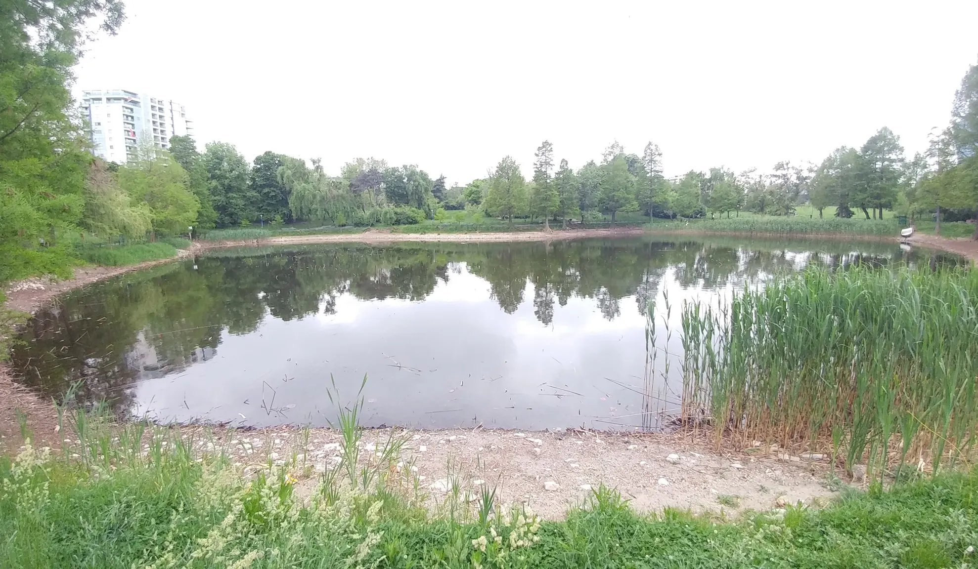 De ce seacă unul dintre cele mai frumoase lacuri din București. Protest în Parcul Circului