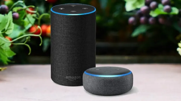 Asistenții digitali, precum Siri și Alexa, accentuează stereotipurile și prejudecățile de gen