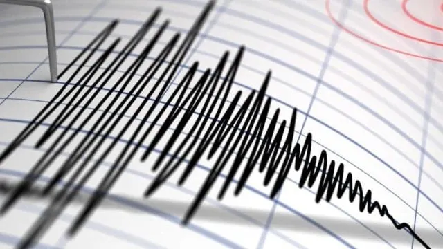 Cutremur de 4,1 grade în Vrancea