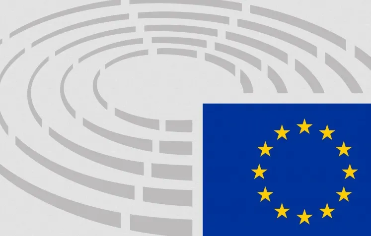 Europarlamentare 2019. Cum votăm la alegerile de duminică