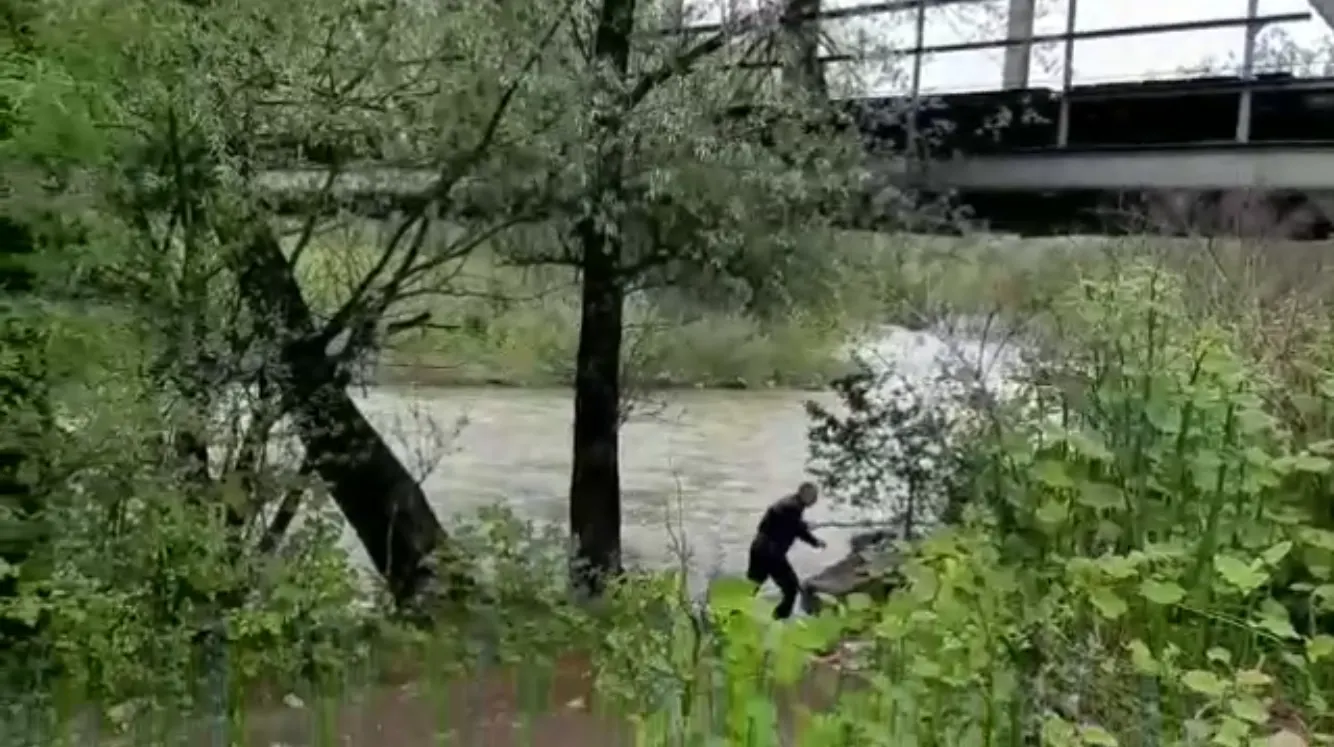Copilă de șase ani, dispărută de vineri