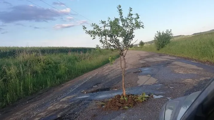 Gest incredibil în Hunedoara: ”Haideți la Vaidei-Pișchinți! Avem prune! De gropi, să nu mai zic!”