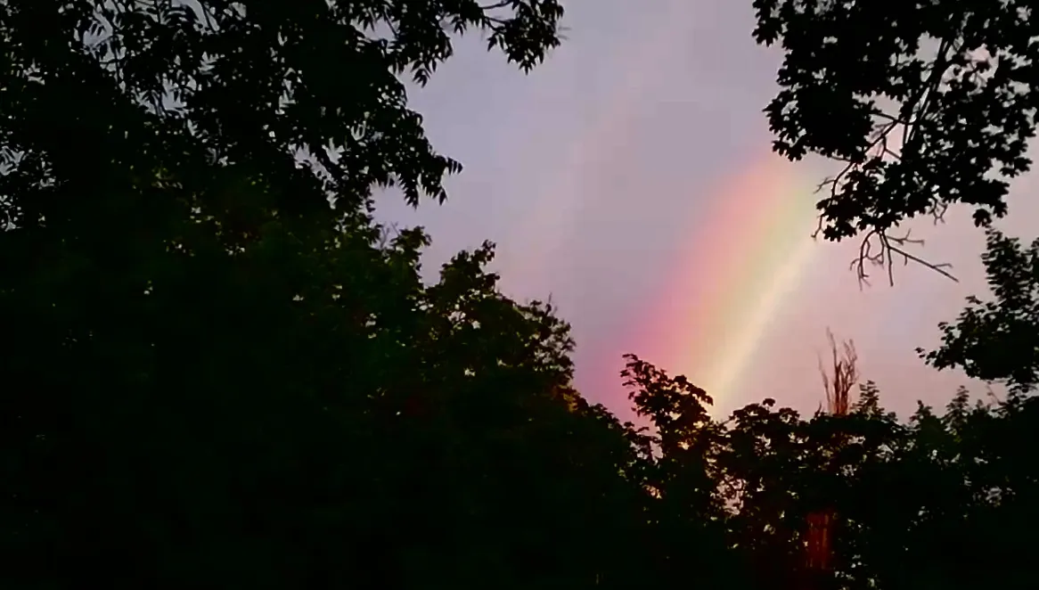 Apariție impresionantă pe cerul Timișoarei, după furtuna de marți seară. VIDEO