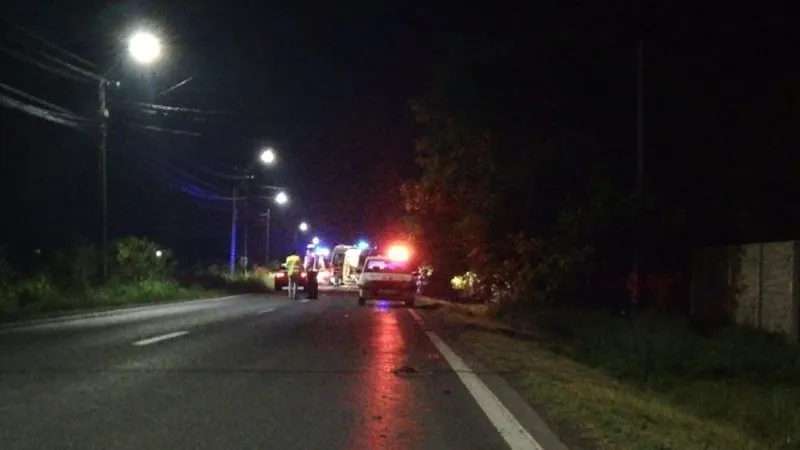 Cinci frați, implicați într-un groaznic accident din cauza unui câine: un mort, 4 răniți